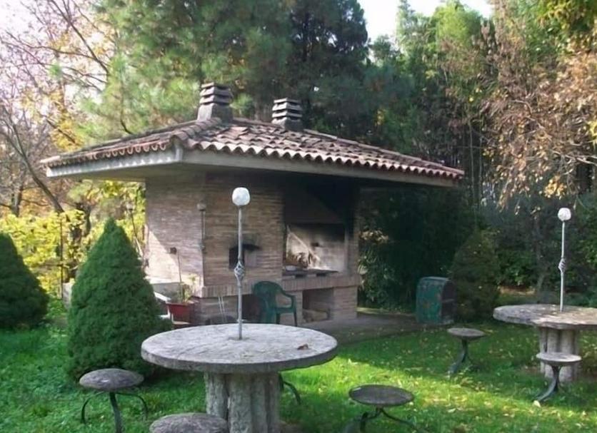 Other Photo