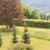 Outdoors view