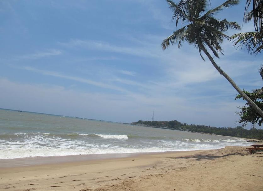 Beach Photo