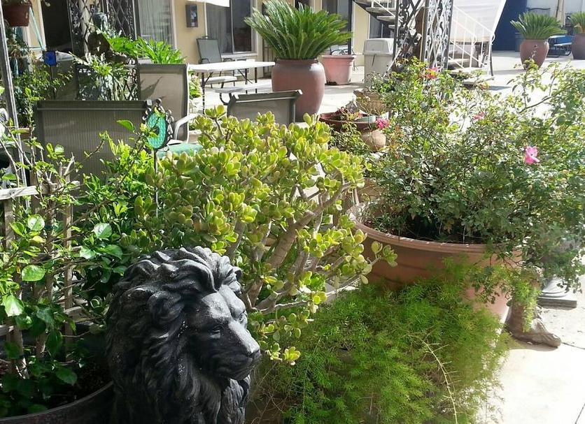 Outdoors view Photo