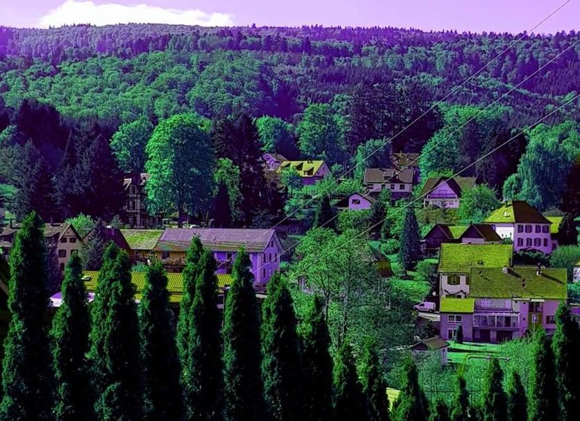 Outdoors view Photo