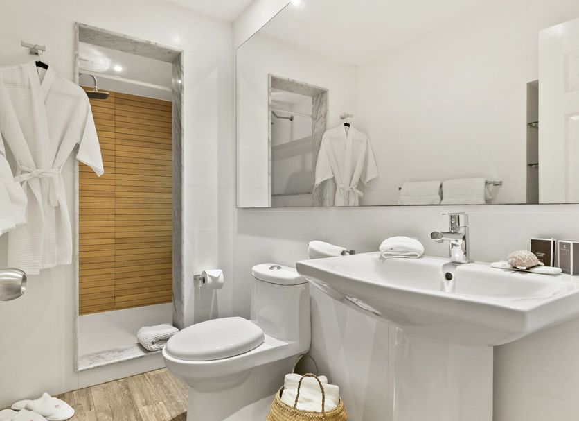Casa Tortugas Boutique Hotel in Puerto Juárez bathroom with sink, toilet, shower and wooden door
