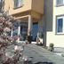 Hotel Ackermann in Riedstadt with magnolia blossoms framing the entrance walkway and building facade