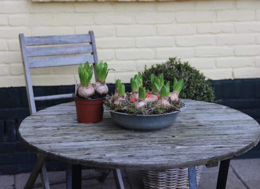 Patio Photo