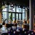Hotel Guestapart Aarhus lounge with plants, tables, and large windows