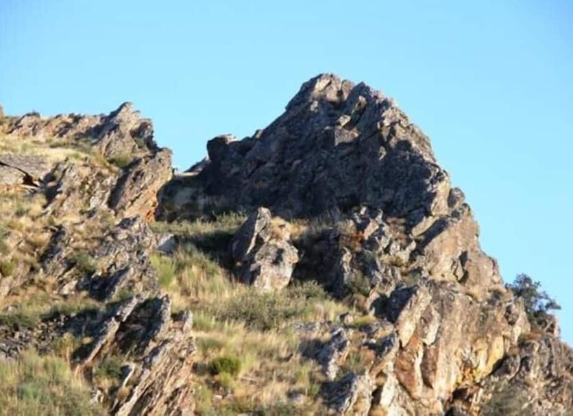 Other Photo
