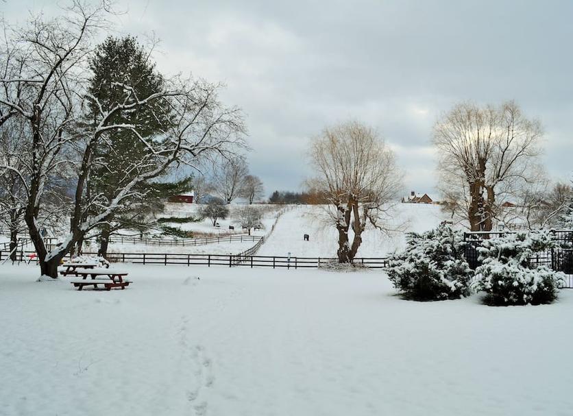 Outdoors view Photo