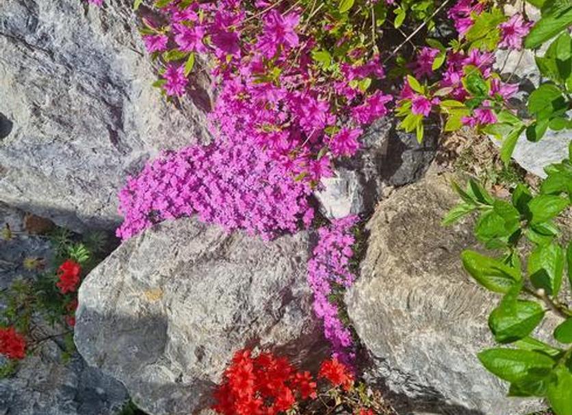Outdoors view Photo