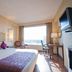 Royal Orchid Central Jaipur, Bani Park room with king bed, desk, TV and city view in Jaipur
