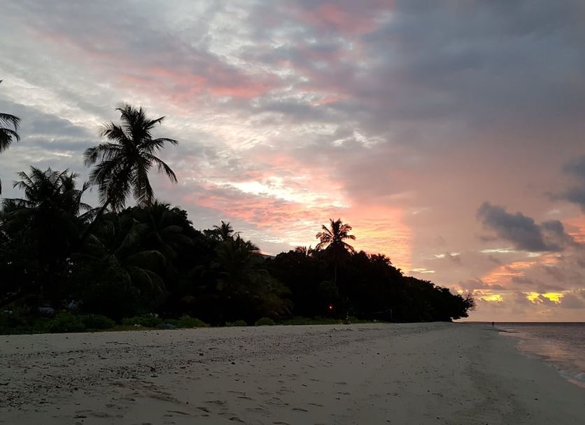 Blue World Dharavandhoo beach at sunset with palm trees and calm ocean view in Dharavandhoo