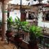 Hotel Regis Uruapan courtyard corridor with potted plants, tiled floor, and hanging star decorations