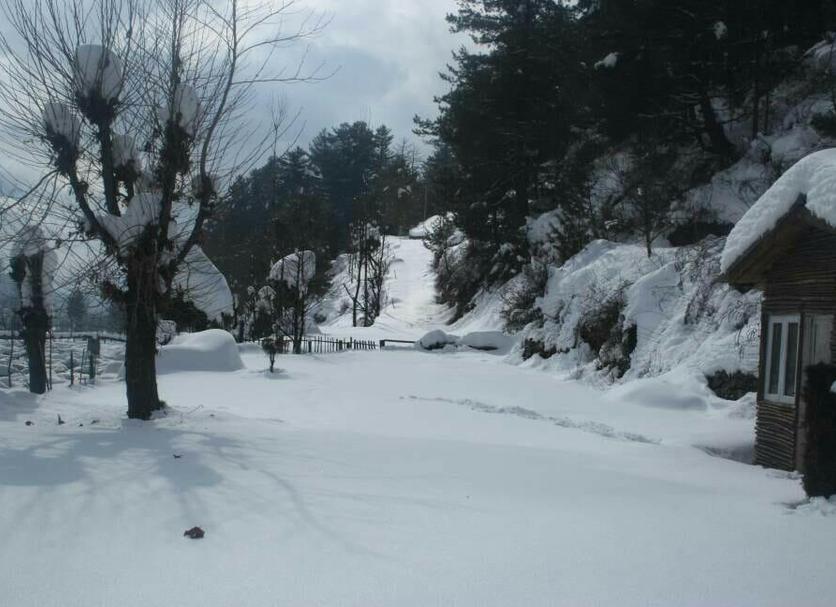 Outdoors view Photo