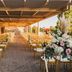 Chicago Marriott Southwest at Burr Ridge outdoor event setup with gold chairs and floral arrangements
