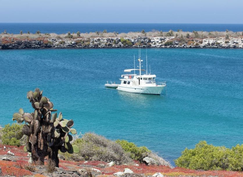 Hotel Santa Fe in Puerto Ayora with turquoise bay, anchored boat and rocky shoreline view