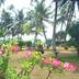 Outdoors view