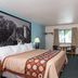 Super 8 by Wyndham Houghton Lake guest room with king bed, desk by window, and kitchenette