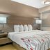 Red Roof Inn Detroit-Rochester Hills/Auburn Hills room with king bed and bedside lamps