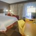 Hampton Inn South Haven guest room with king bed, desk, TV, and window seating area