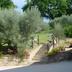 Outdoors view