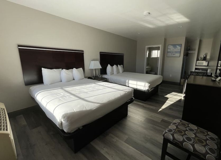 University Inn at San Luis Obispo guest room with two queen beds, TV, dresser and sunlight on the floor