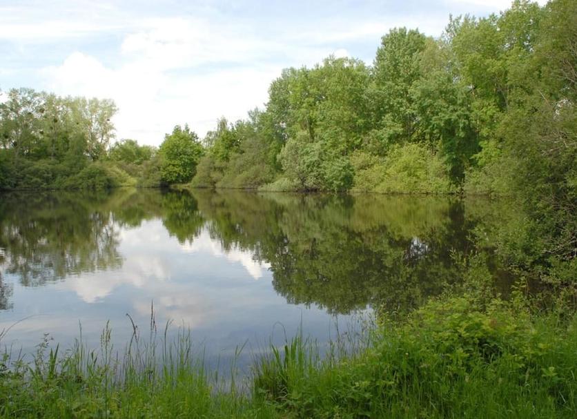 Other Photo