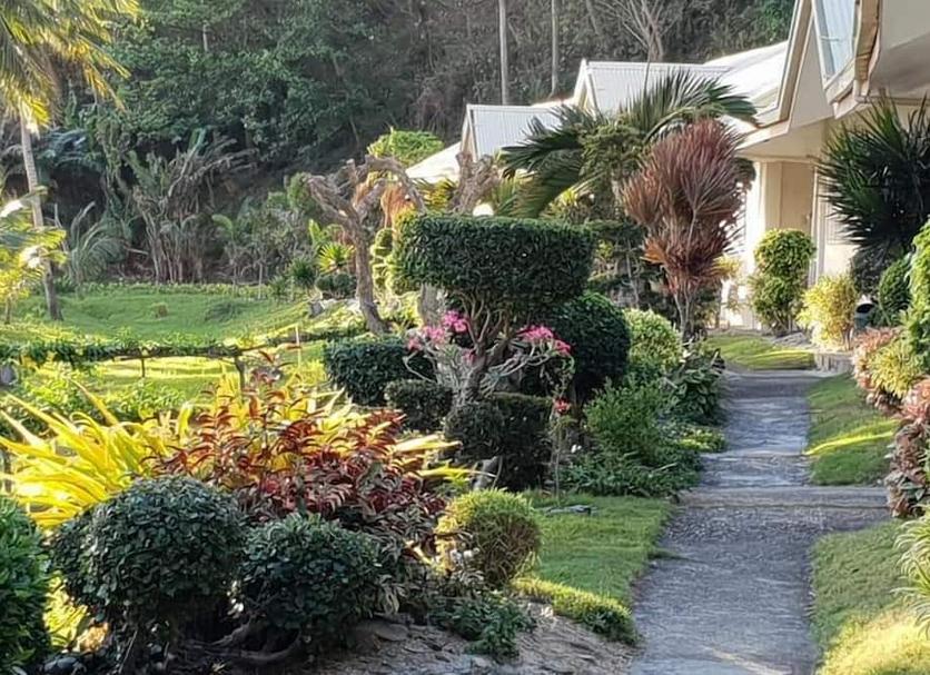 Outdoors view Photo