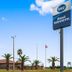 Best Western Executive Inn El Campo exterior with palm trees and Texas flag under a blue sky