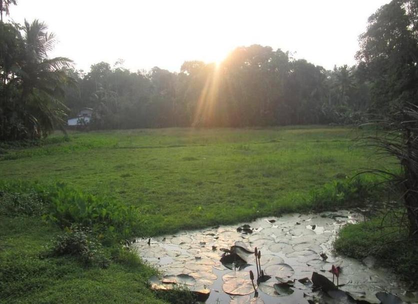 Outdoors view Photo