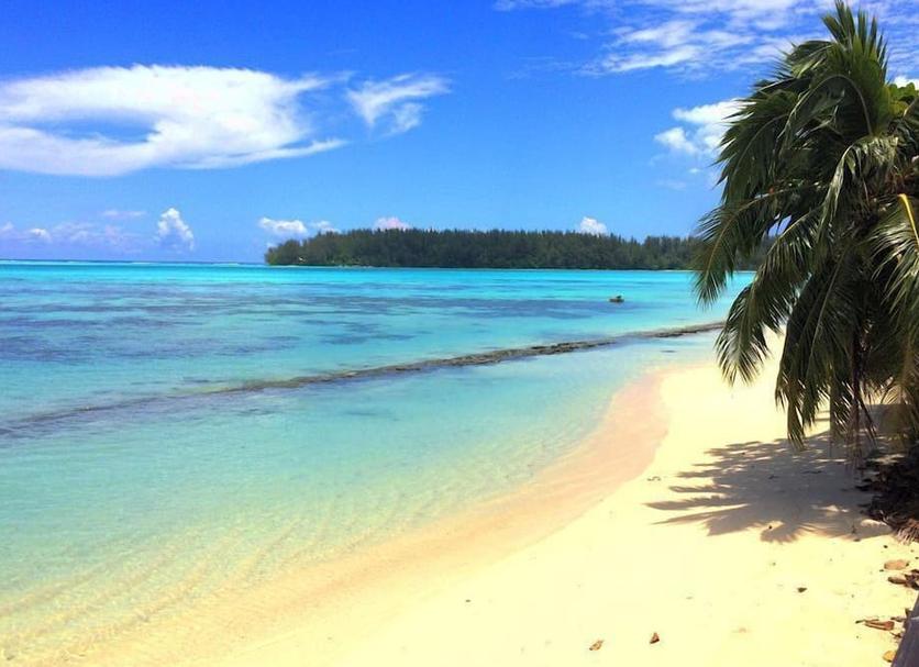 Beach Photo