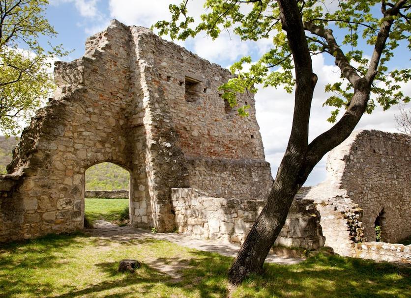 Other Photo