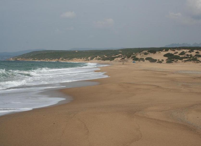 Beach Photo