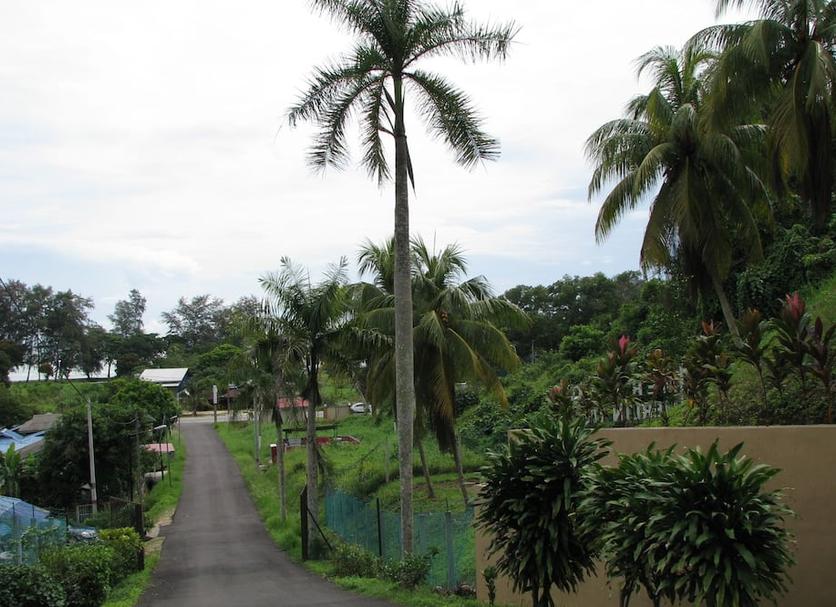 Outdoors view Photo