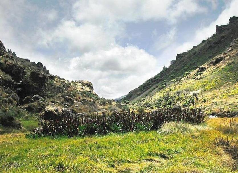 Outdoors view Photo