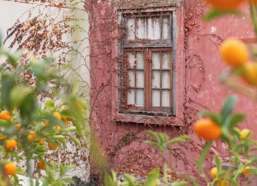 Outdoors view Photo