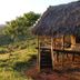 Crater Forest Tented Camp in Karatu, thatched safari tent on stilts overlooking lush hillside at sunset
