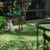 Outdoors view