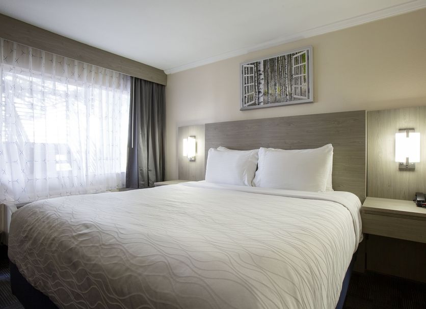 Hotel Aspen Flagstaff/ Grand Canyon Innsuites guest room with king bed and window view in Flagstaff