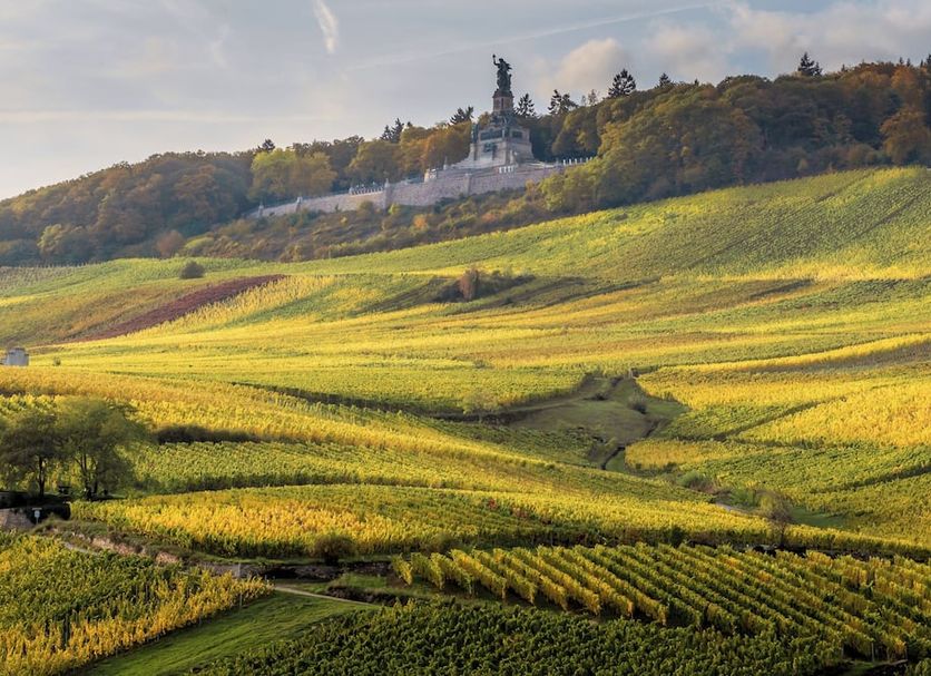 Weinhotel des Riesling Zum Grünen Kranz in Rüdesheim am Rhein with scenic vineyard hillside views