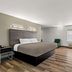 Quality Inn & Suites Biloxi - Ocean Springs guest room with king bed, TV, and window view