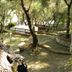 Tigullio Camping & Resort in Sestri Levante, tree-shaded outdoor seating area with stone paths