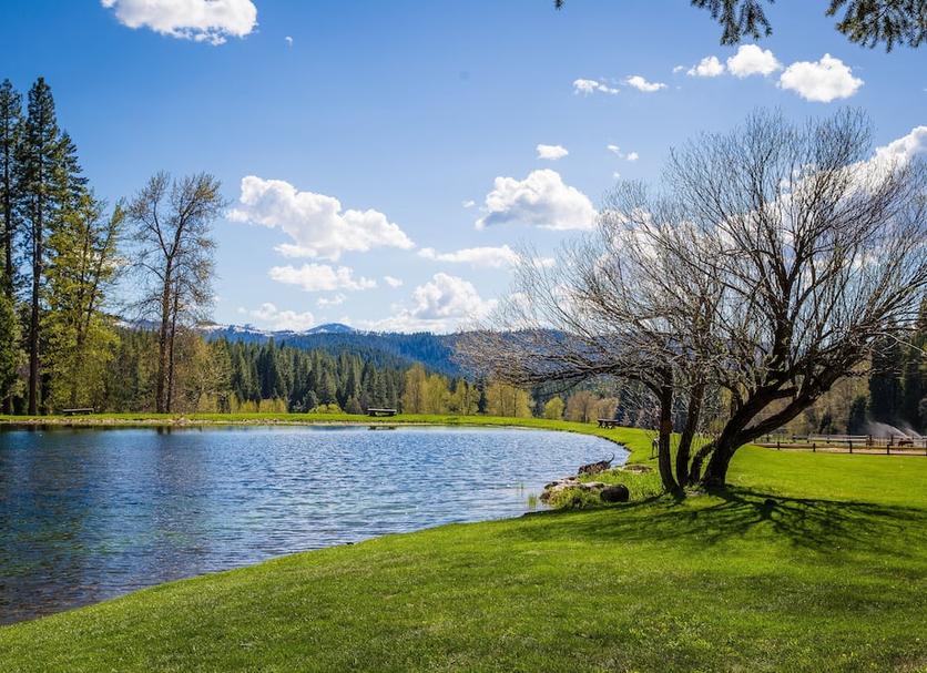Outdoors view Photo