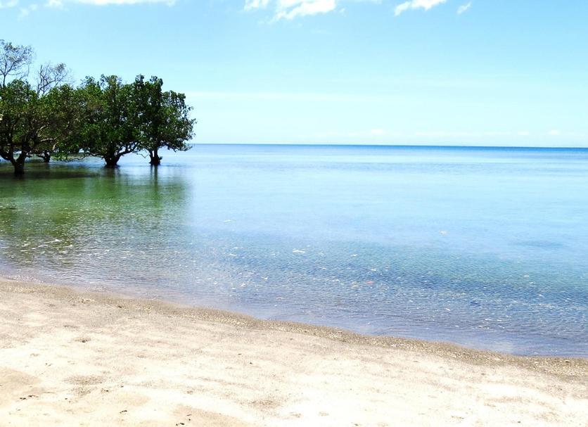 Beach Photo