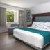 Sanibel Island Beach Resort guest room with king bed, window seat, and natural light in Sanibel