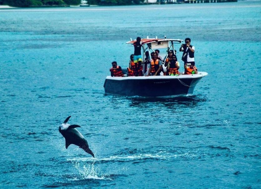 White Harp Beach, Malé: boat tour on turquoise water with a dolphin leaping nearby