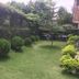 Sudha's Garden Home, Kathmandu: lush garden lawn with trimmed shrubs and hedges