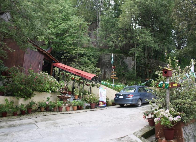 Outdoors view Photo