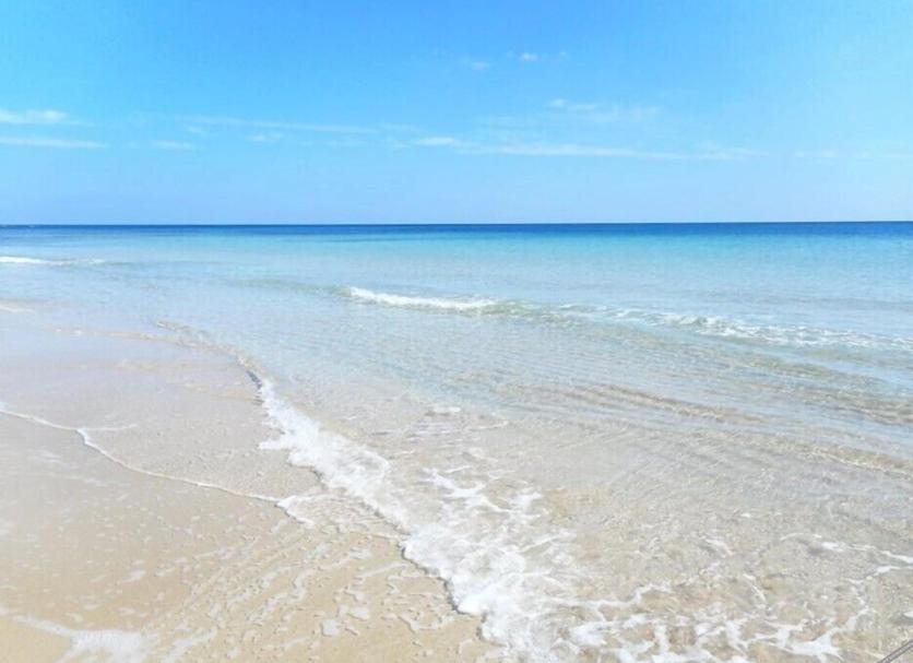 Beach Photo