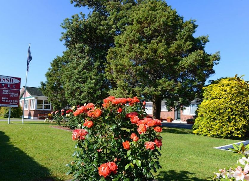 Outdoors view Photo