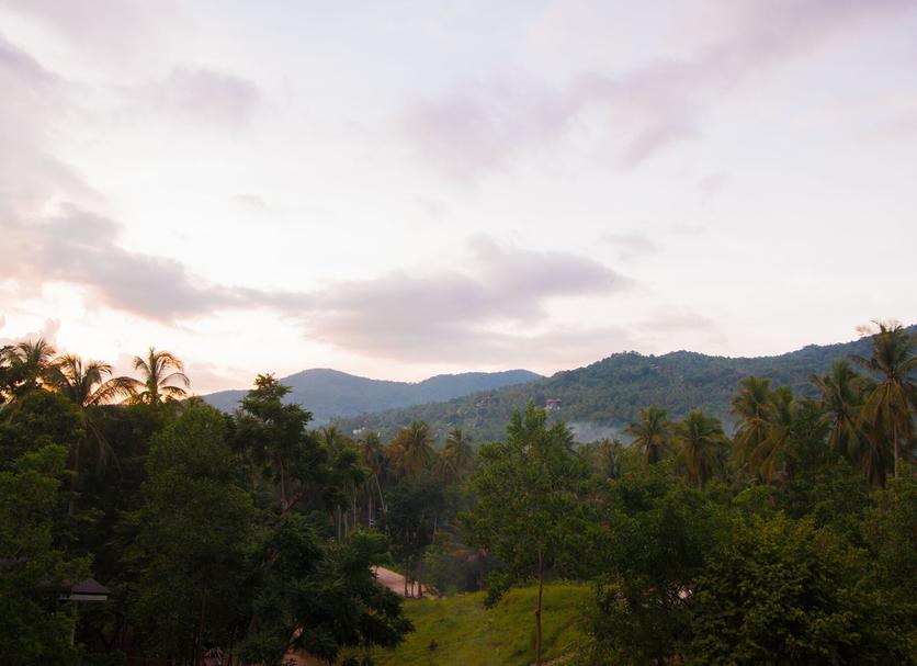 Outdoors view Photo