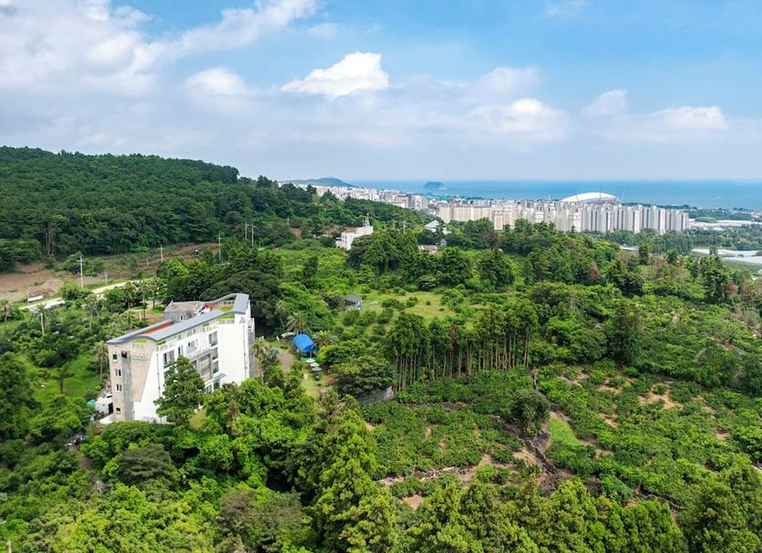 Outdoors view Photo